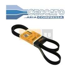 Приводной ремень Ceccato 0367010056